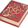 Wiccan Collection~Book of Spells Red 15.5cm, One Size