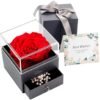 Witchcraft~Real Preserved Rose Gift Box for Girlfriend and Wife, Never Withered Rose with Brooch,Immortal Flower, Eternal Forever Rose Her on Valentine's Day,Mother's Day (Red Rose Gift Box + Brooch)