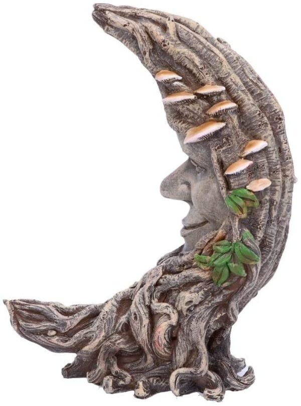 Light Collection~D4756P9 Luna Oak Figurine 17.5cm, Resin, Brown, One Size