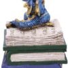 Fantasy Collection~ Blue Dragonling Diaries Dragon Book Box, Polyresin, One Size