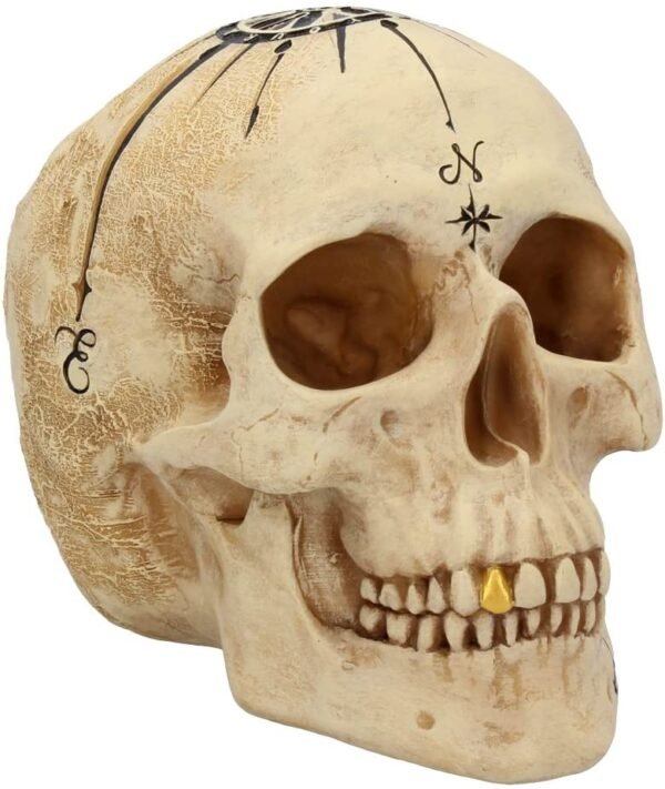 Dark Collection~B4057K8 Dead Man's Map Skull Figurine 17.5cm White, Resin, One Size
