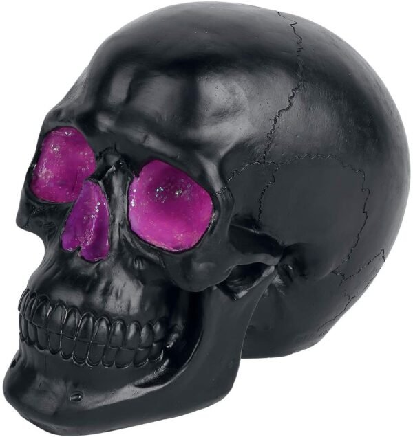 Magicun N.Giftware~Geode Skull Figurine 17cm Black, Resin