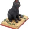 Magicun N.Giftware~Eclipse Figurine 16cm Black
