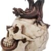 Fantasy Collection~ Draconic Craniotomy 19.6cm Box, Resin, Ivory