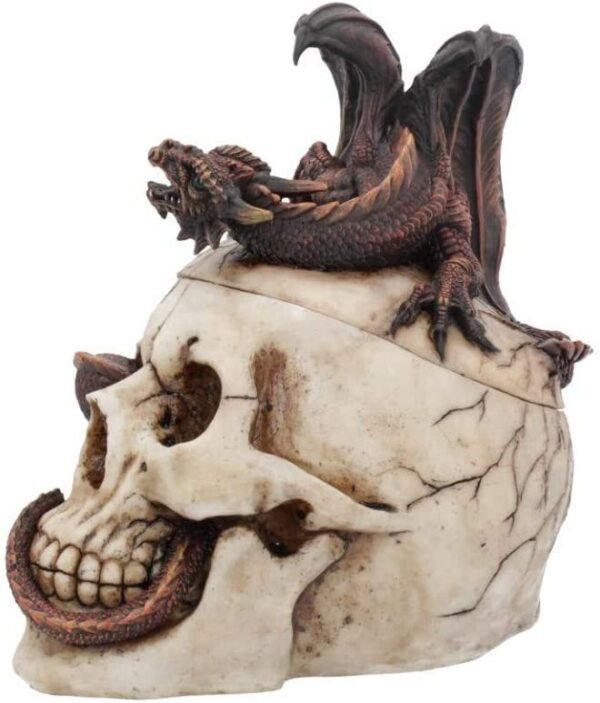 Fantasy Collection~ Draconic Craniotomy 19.6cm Box, Resin, Ivory