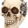Steampunk Collection~Clockwork Cranium Figurine 15cm Ivory