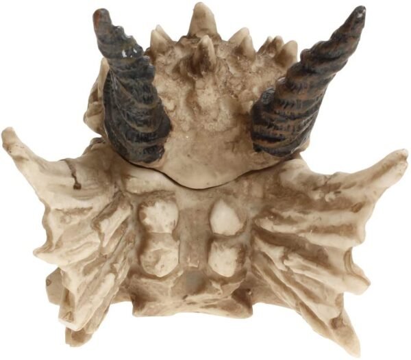 Magicun N.Giftware~Dragon Skull Box 15cm Ivory
