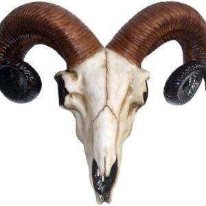 Wiccan Collection~Rams Skull Medium Wall Plaque 32.5cm Ivory, Resin, One Size