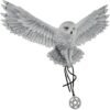 Magic  Collection~Anne Stokes Awaken Your Magic Snowy Owl with Pentagram Pendant Wall Sculpture
