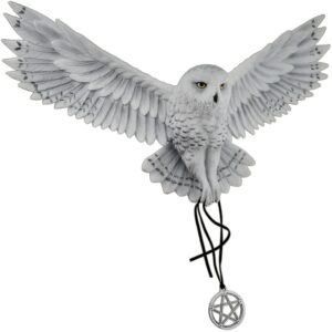 Magic  Collection~Anne Stokes Awaken Your Magic Snowy Owl with Pentagram Pendant Wall Sculpture