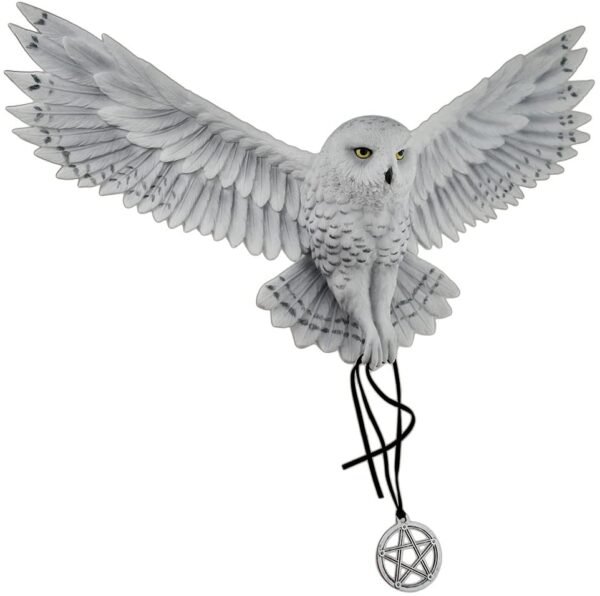 Magic  Collection~Anne Stokes Awaken Your Magic Snowy Owl with Pentagram Pendant Wall Sculpture