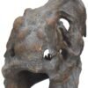 Magicun N.Giftware~Tyrannosaurus Rex Skull Freestanding Figurine 18.5cm Grey