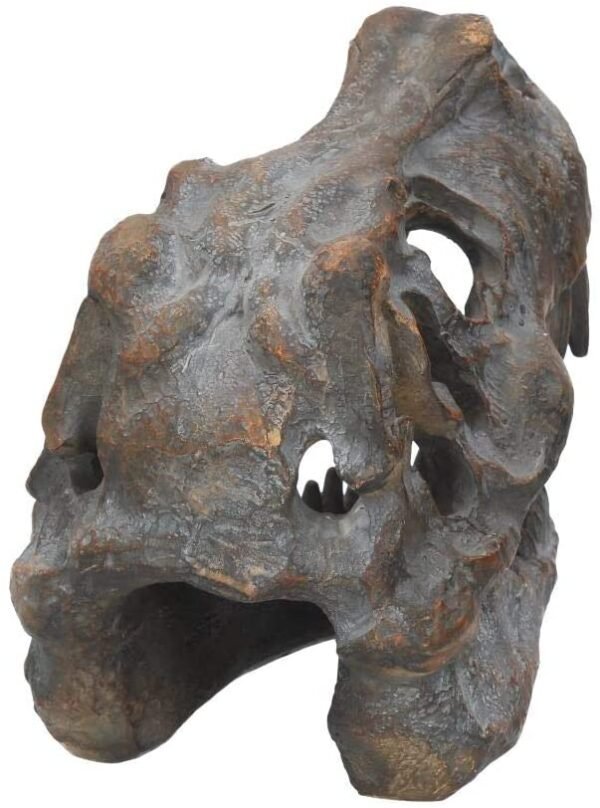 Animal Collection~ Tyrannosaurus Rex Skull Freestanding Figurine 18.5cm Grey