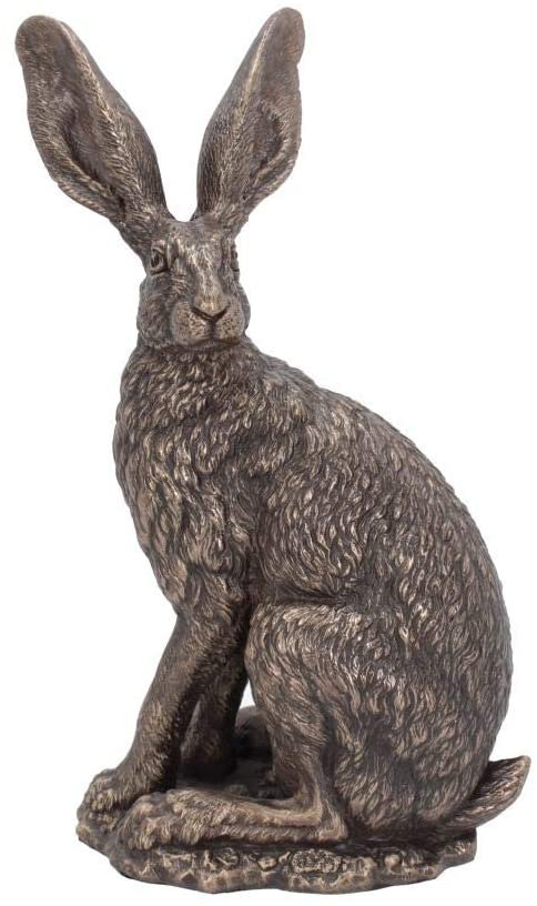 Magicun N.Giftware~Sit Tight 23.5cm Figurine, us:one Size, Bronze