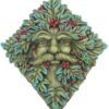 Magicun N.Giftware~Berry Beard Wall Plaque 24cm Green, Resin