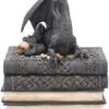Magicun N.Giftware~Secrets Of The Dragon Box 19cm Black