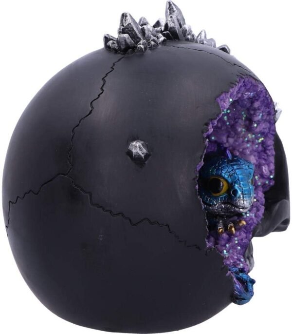 Dark Collection~Cave Small Dragon Hiding Within a Crystal Skull, Polyresin, Black, 16.5cm