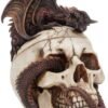 Fantasy Collection~ Draconic Craniotomy 19.6cm Box, Resin, Ivory