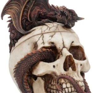 Fantasy Collection~ Draconic Craniotomy 19.6cm Box, Resin, Ivory