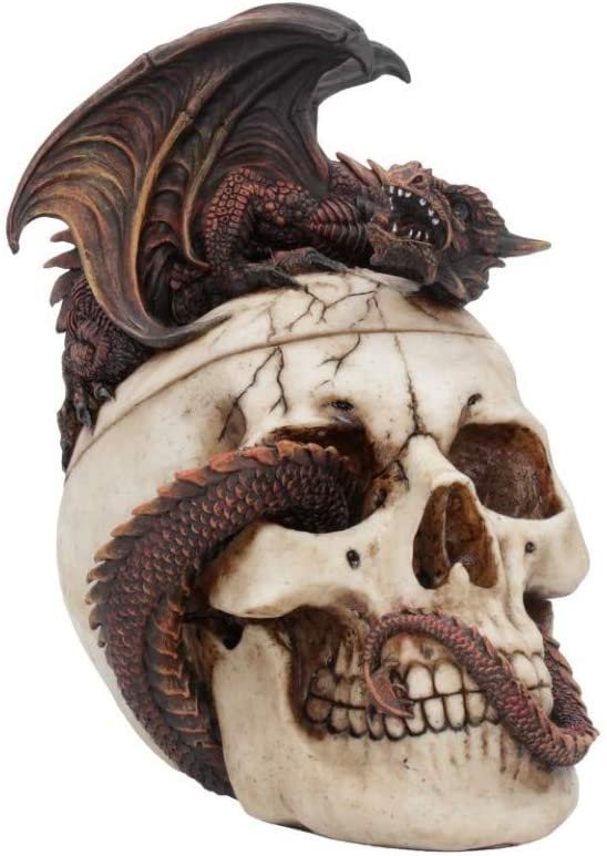 Fantasy Collection~ Draconic Craniotomy 19.6cm Box, Resin, Ivory