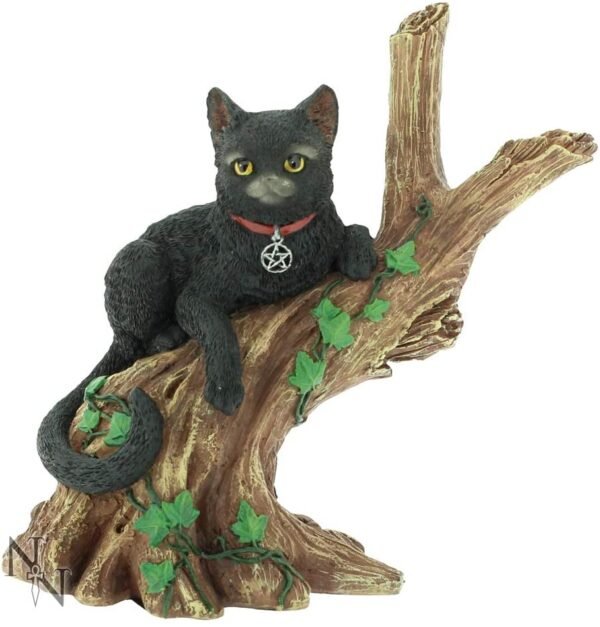 Wiccan Collection~Onyx Figurine 14cm Black, Resin