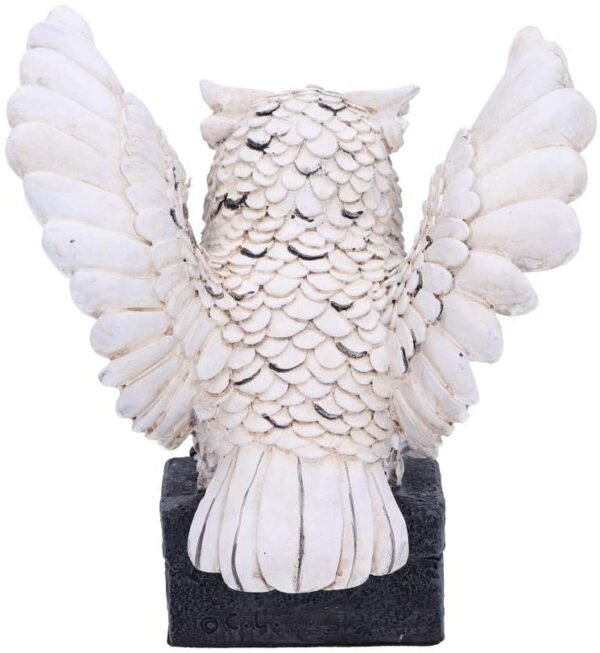 Wiccan Collection~Archimedes White Horned Owl Perched on a Locked Box Figurine, 12.5cm