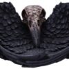 Dark Collection~Edgar Allen Poe's Nevermore Raven Skull Trinket Holder Jewellery Dish, Black, 17cm