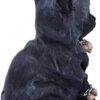 Dark Collection~Feline Cloaked Grim Reaper Cat Figurine, Polyresin, Black, 16cm