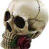 Dark Collection~Argentine Skull Money Box 18cm Ivory