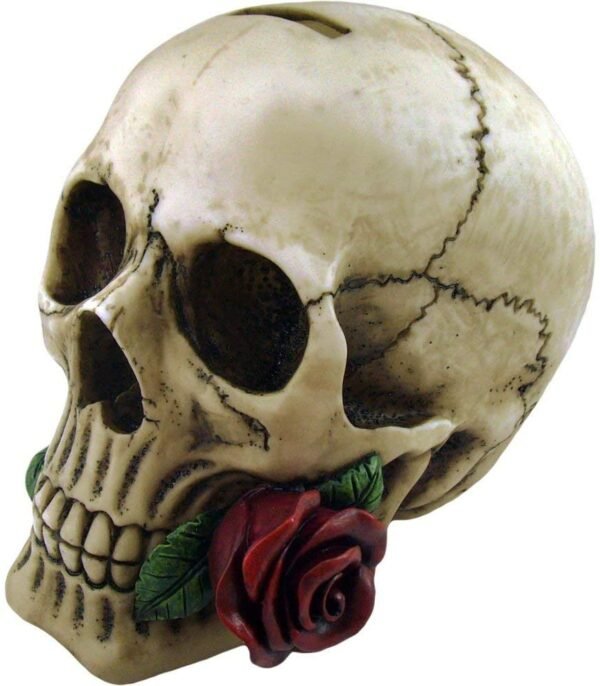 Dark Collection~Argentine Skull Money Box 18cm Ivory