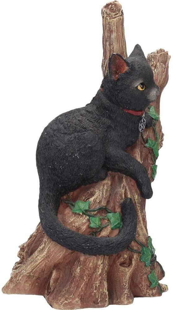 Wiccan Collection~Onyx Figurine 14cm Black, Resin