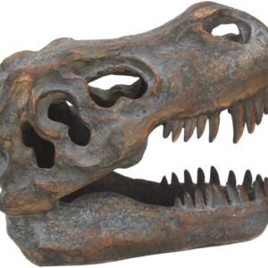 Animal Collection~ Tyrannosaurus Rex Skull Freestanding Figurine 18.5cm Grey