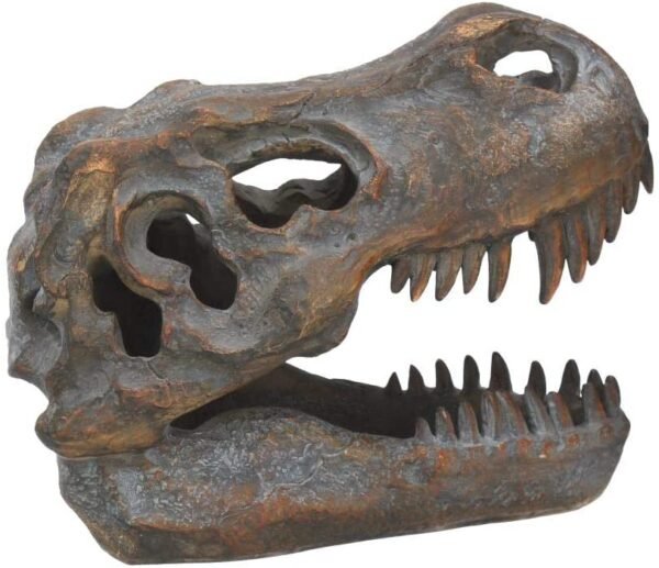 Animal Collection~ Tyrannosaurus Rex Skull Freestanding Figurine 18.5cm Grey