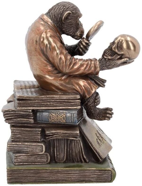 Animal Collection~ Darwinism of Evolutionary Theory Box 17.5cm Bronze, Resin