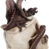 Fantasy Collection~ Draconic Craniotomy 19.6cm Box, Resin, Ivory