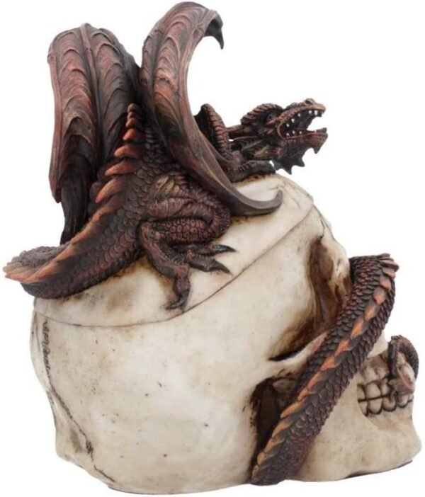 Fantasy Collection~ Draconic Craniotomy 19.6cm Box, Resin, Ivory