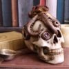 Steampunk Collection~Octo Craniotomy Skull Figurine 15.5cm Ivory, Resin