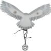 Magic  Collection~Anne Stokes Awaken Your Magic Snowy Owl with Pentagram Pendant Wall Sculpture