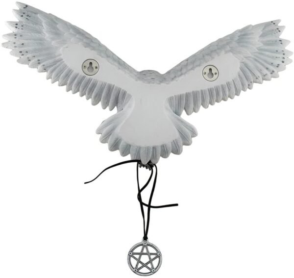 Magic  Collection~Anne Stokes Awaken Your Magic Snowy Owl with Pentagram Pendant Wall Sculpture