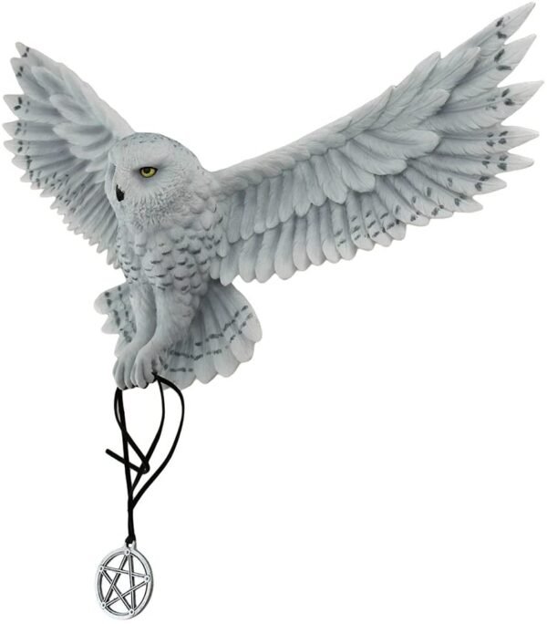 Magic  Collection~Anne Stokes Awaken Your Magic Snowy Owl with Pentagram Pendant Wall Sculpture