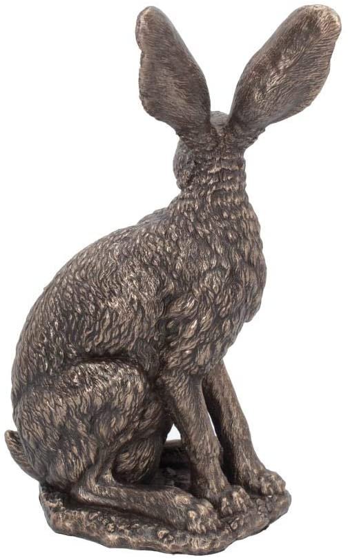 Magicun N.Giftware~Sit Tight 23.5cm Figurine, us:one Size, Bronze