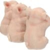 Animal Collection~ Three Wise Pigs Figurine 11cm Pink