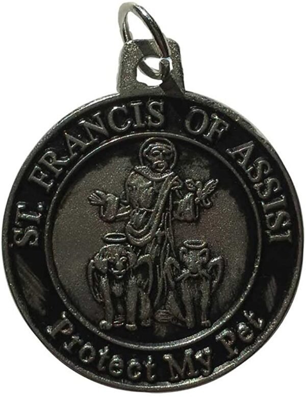 Witchcraft~St Francis Protect My Pet Amulet