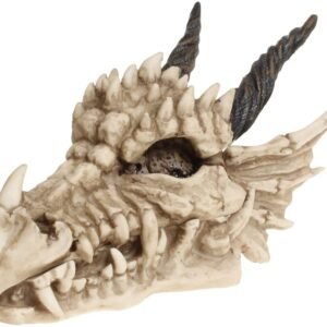 Dark Collection~AL50057 Dragon Skull Box 15cm Ivory