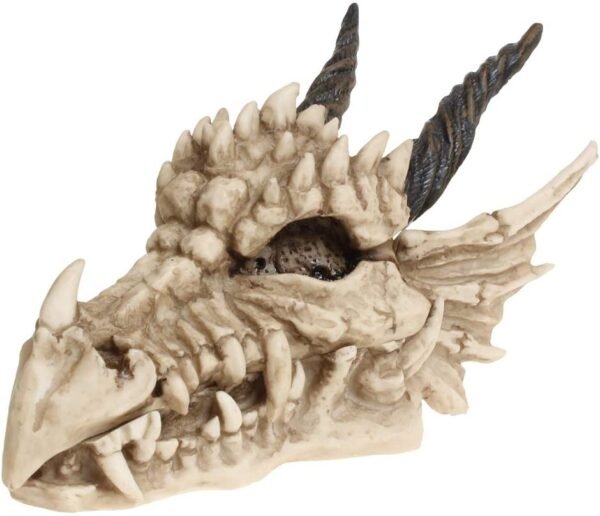 Dark Collection~AL50057 Dragon Skull Box 15cm Ivory