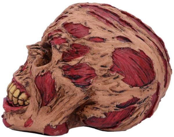 Dark Collection~D4964R0 Hoard Rotting Zombie Skull Ornament, Flesh Colour, One Size