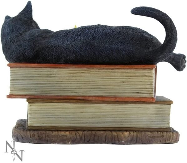 Artist Collections~ Witching Hour Lisa Parker Figurine 20.5cm Brown, Resin