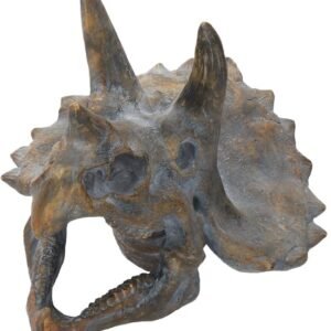 Animal Collection~ Triceratops Head Large 34.5cm Figurine, Polyresin, Brown, One Size
