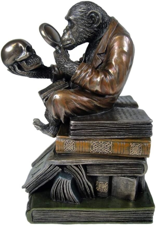 Animal Collection~ Darwinism of Evolutionary Theory Box 17.5cm Bronze, Resin