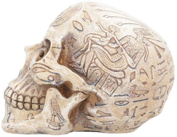 Mythology Collection~ D1979F6 Hieroglyphic Skull Figurine 16cm Ivory